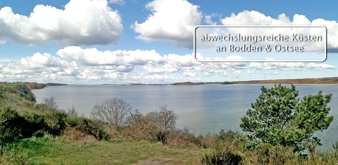 Bodden der Ostseküste. 