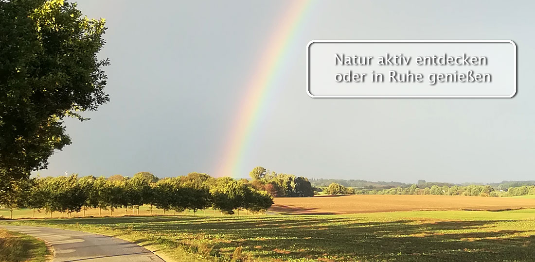 Familienurlaub an der Ostsee